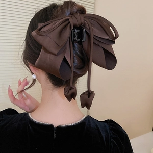 Élégante pince à cheveux marron avec nœud et longs glands sur une coiffure chignon chic
