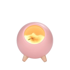 Pink pet house night light with wooden tripod base and sleeping cat inside for bedroom