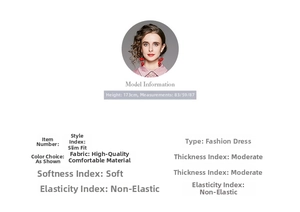 Size chart and fabric details for slim fit long sleeve embroidered dress with model info