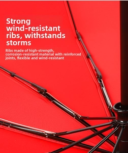 Close-up of wind-resistant umbrella frame with reinforced joints and red fabric