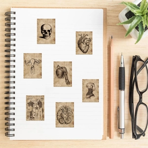 Vintage medical anatomy stickers of heart and skull on a white spiral notebook background