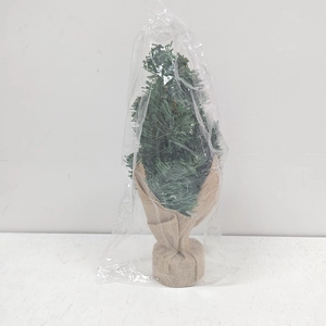 Detailed view of a 30cm mini Christmas tree with burlap base in transparent packaging
