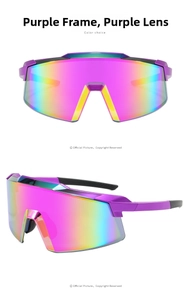 Detail view of purple cycling sunglasses with rainbow mirror lenses and non-slip temples