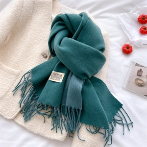 Close-up of dark green cashmere-style scarf with fringe on a cozy beige coat