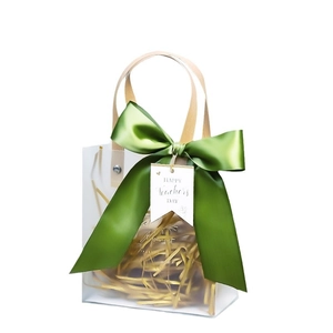Frosted transparent PVC gift bag with dark green ribbon bow and Teacher's Day tag