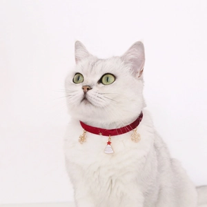 Close-up of a deep red velvet cat collar with Christmas charms on a white pet