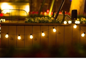 Close-up of G50 LED solar string light bulbs on a wooden fence in a warm garden setting