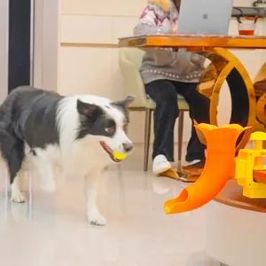 Automatic orange pet ball launcher for dogs fixed on table for indoor interactive play