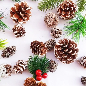 Natural Pine Cones Christmas Decorations White Snow Tipped Pine Needles Red Berries DIY Craft Supplies Wood Accessory