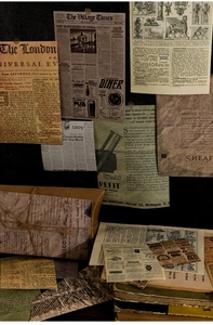 Dettaglio di carte vintage per scrapbooking con motivi di farfalle e funghi