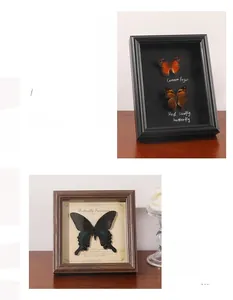 Detail of wooden butterfly specimen shadow box frames for vintage home desktop decor
