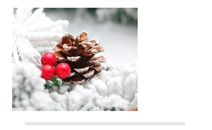 Détail de guirlande de Noël avec pommes de pin, baies rouges et aiguilles enneigées