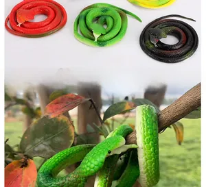 Modèles de serpents réalistes détaillés montrant la texture des écailles et couleurs