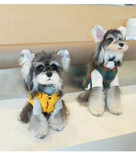 Close-up detail of stylish pet vest fabric textures on two Schnauzer models indoors