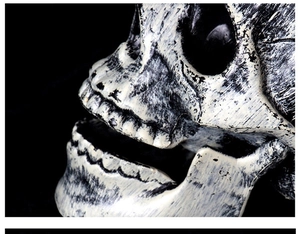 Macro shot of weathered bone texture and detailed skull teeth for Halloween decoration