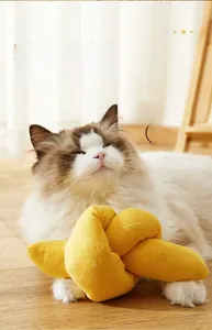 Detail eines gelben Katzen-Spielzeugs aus Segeltuch mit Katzenminze und Ragdoll-Katze