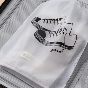 Close-up of translucent frosted travel storage bag with shoe icon inside a suitcase