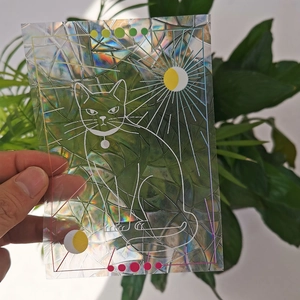 Rainbow prism suncatcher film with holographic cat and sun patterns in natural light