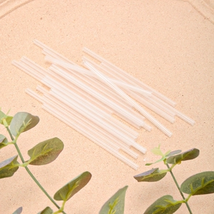 Détail de pailles en plastique transparent de 8 cm pour ballons avec feuilles d'eucalyptus