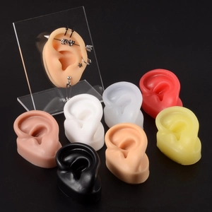 Close-up of multicolored silicone ear models for jewelry display and piercing practice