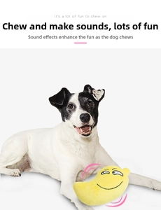 Close-up of a black and white dog playing with a squeaky yellow plush moon toy
