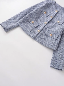 Detailed view of blue and purple tweed jacket texture with golden embossed buttons