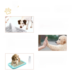 Pet potty training spray showing a three-step visual guide for dog indoor toilet habits