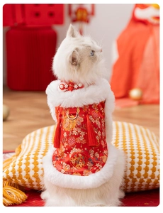Detail of red festive cat vest with silver D-ring, floral patterns and plush collar