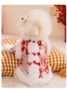 Detail of red floral pet tang suit featuring silk brocade fabric and faux fur trim