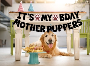 Detail of black pet birthday banner with white text and red paw prints for dog parties