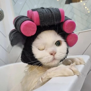 Funny pet knitted hat with pink rollers for cats and dogs, creative salon hair stylist look