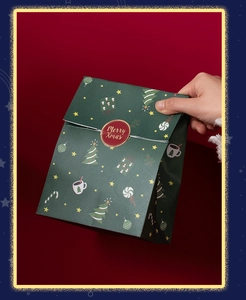 Detail of green Christmas gift bag with festive illustrations and Merry Xmas seal