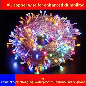 Detail of waterproof copper wire LED string lights with 20 color-changing modes