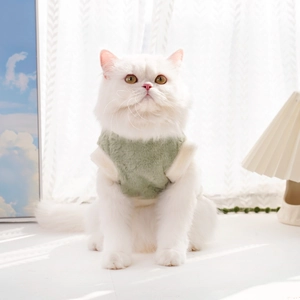 Détail d'un chat blanc portant un gilet en peluche vert sauge chaud avec des bords blancs
