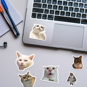 Funny cat meme stickers applied on a laptop and notebook for creative desk decoration