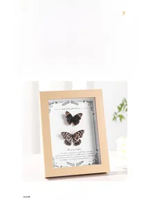 Detail of wooden butterfly specimen shadow box with vintage art and calligraphy