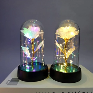 Detailed comparison of gold foil roses in glass domes with warm and colorful LED lighting