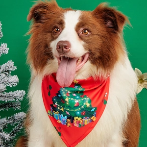 Close-up of a Border Collie wearing a red Christmas tree print pet bandana for large dogs