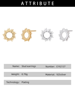 Detail of sunburst s925 silver stud earrings in gold and silver plated finishes