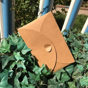 Brown 300g kraft paper envelope with a heart-shaped closure placed among green ivy leaves