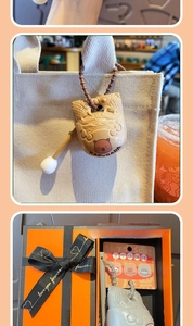 Detailed view of cute Capybara keychains and gift box set with elegant ribbon
