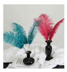 Detail of elegant teal and rose red dyed ostrich feathers in a modern black vase setup