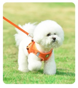 Detail of breathable orange mesh dog harness and leash set worn by a white Bichon dog