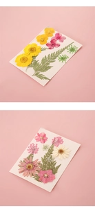 Makroaufnahme bunter getrockneter Blumen und grüner Blätter für DIY-Bastelarbeiten und Dekoration