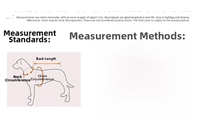 Size guide showing neck, chest, and back length measurements on a dog silhouette