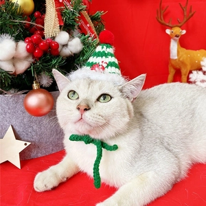 Christmas knit hat and green tie set for cats with festive holiday decorations