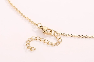 Macro shot of the gold stainless steel lobster clasp and adjustable extension chain details