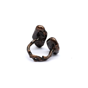 Detailed macro shot of vintage mushroom ring with bronze finish and twig-like band