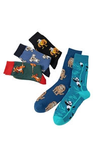 Collection of cotton crew socks featuring cute animal patterns like panda and koala