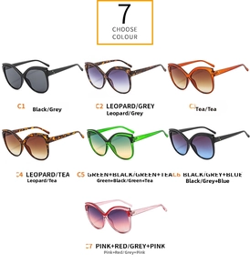 Catalogo dettagliato con vari colori per occhiali da sole retrò cat-eye grandi